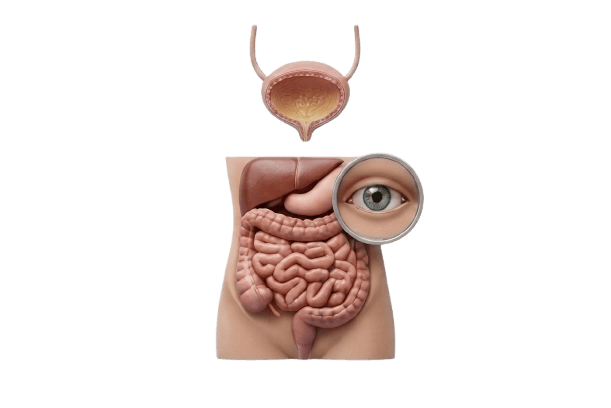 Abdominal Symptoms